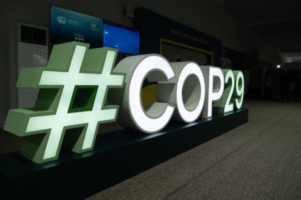 COP 29: Terug naar de Droom…
