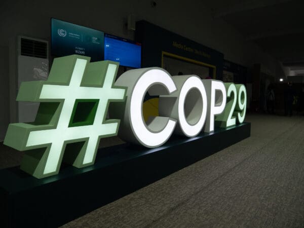 COP 29: Terug naar de Droom…