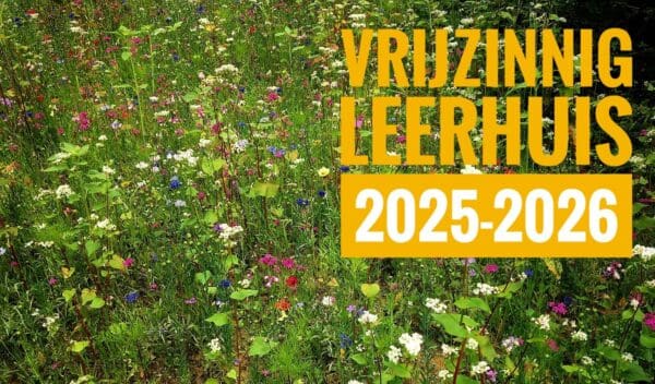 Vrijzinnig Leerhuis: Hoe te bidden?